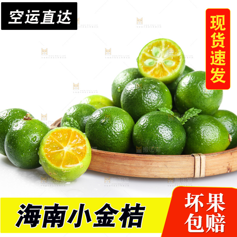 白底上的小金桔