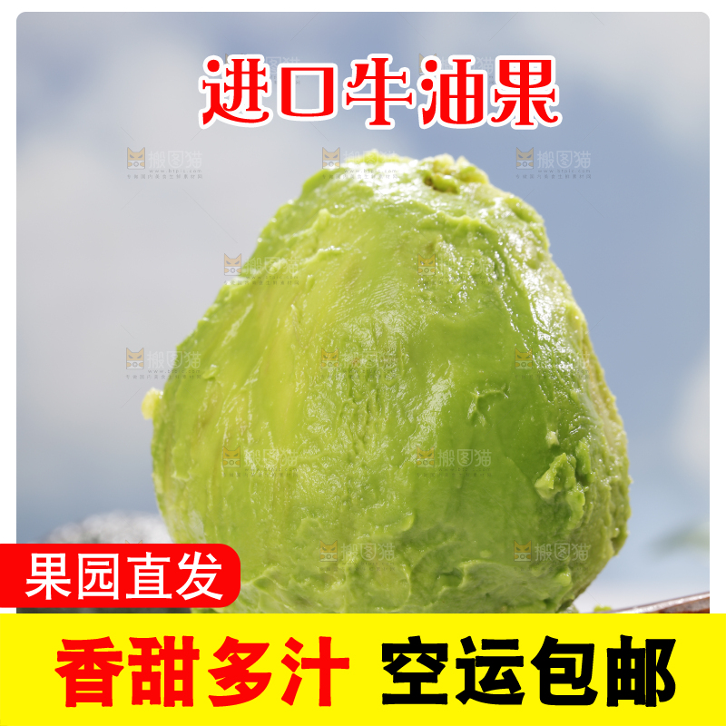 浅底上的巨无霸牛油果