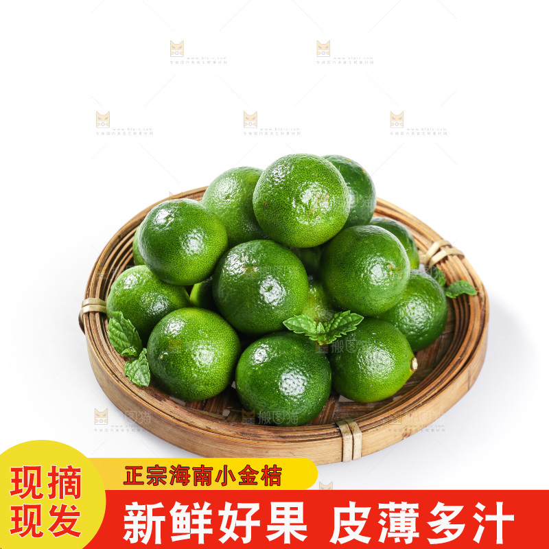 白底上的小金桔