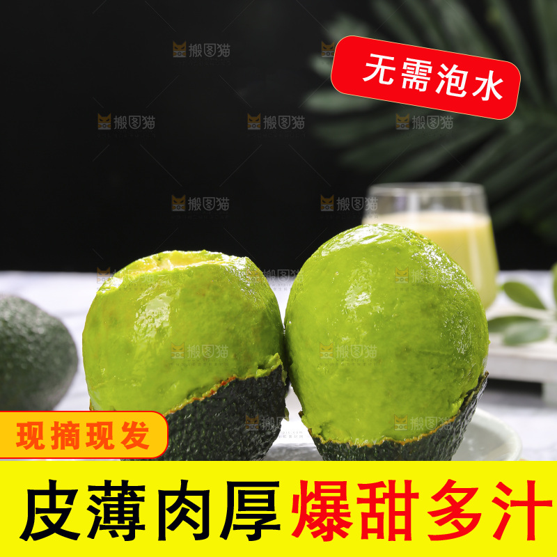 浅底上的巨无霸牛油果