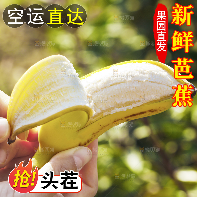 手里拿着广西芭蕉