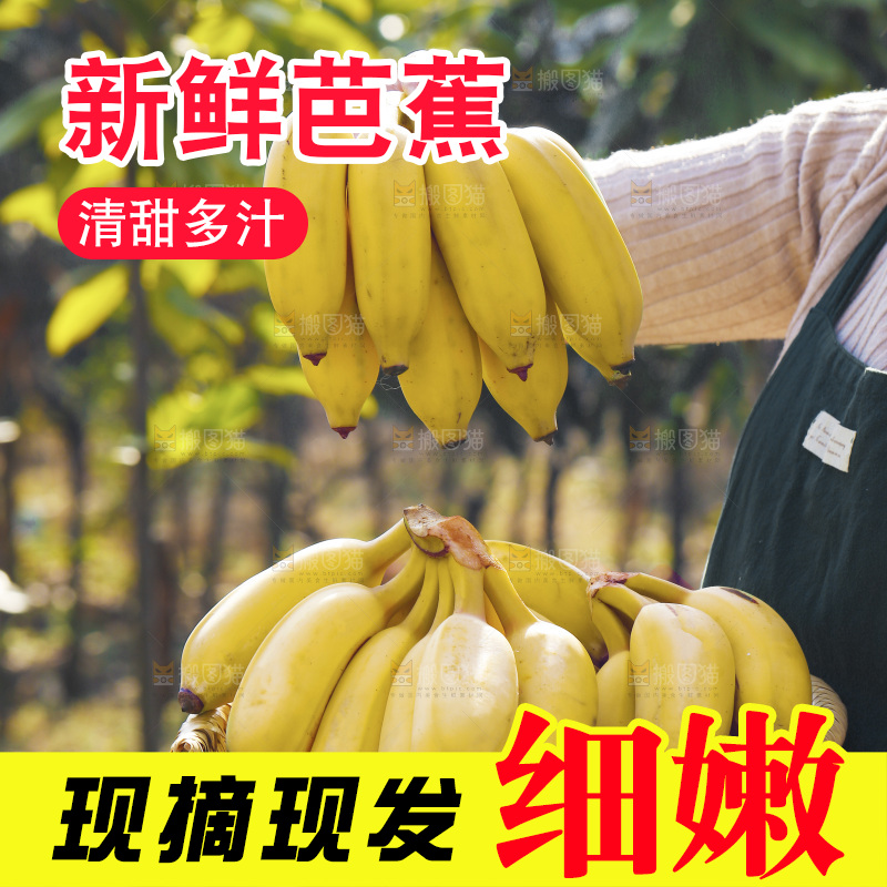 手里拿着广西芭蕉