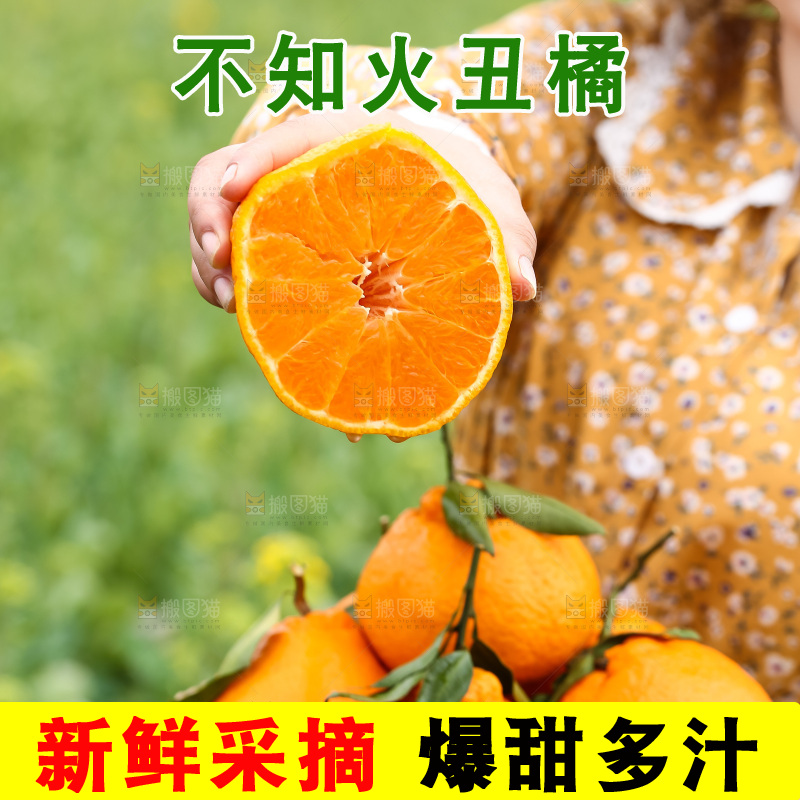 手里拿着丑八怪