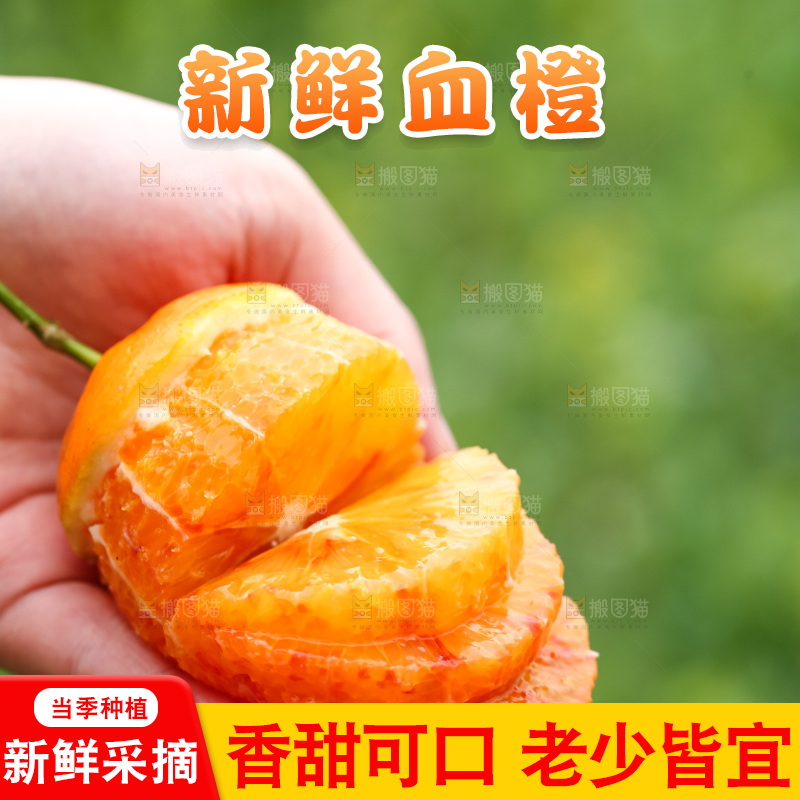 手里拿着赣南血橙