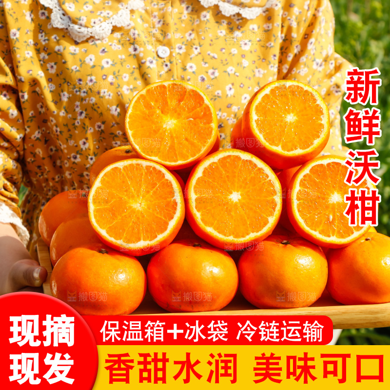 手里拿着沃柑