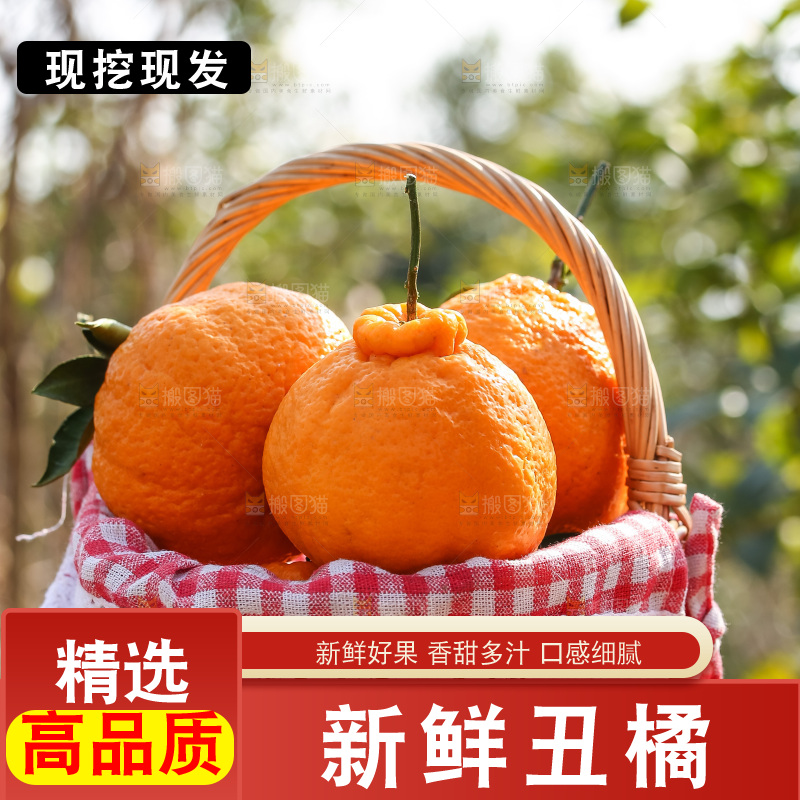 手里拿着丑八怪