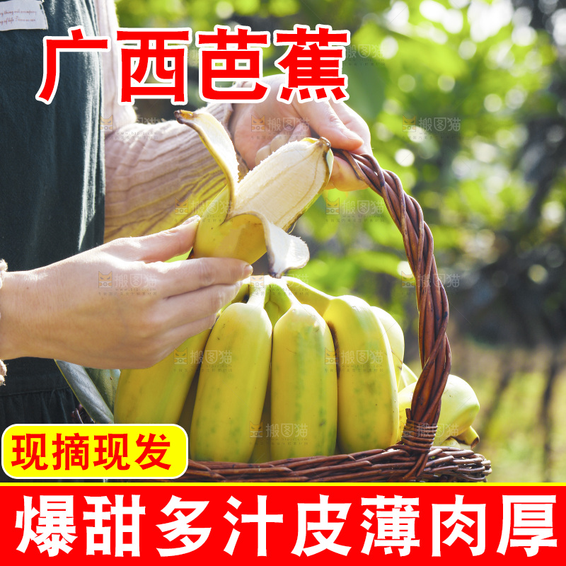 手里拿着广西芭蕉
