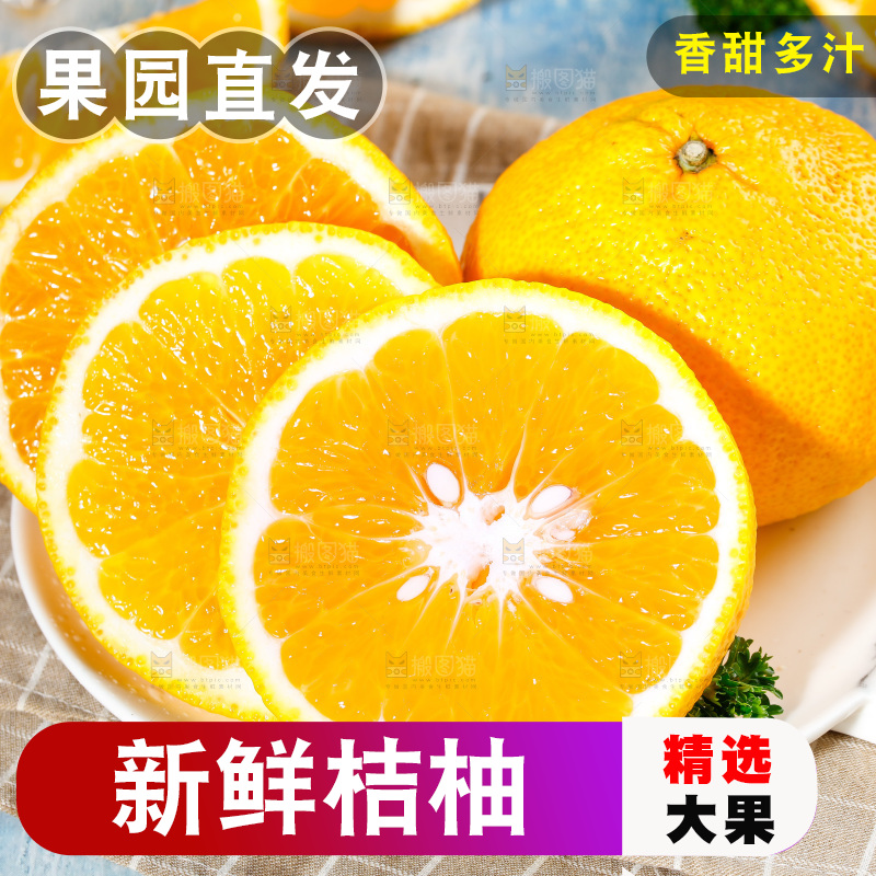 浅底上的橘柚