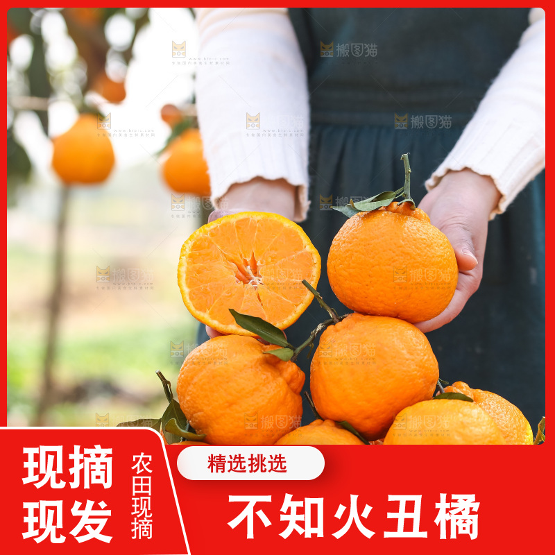 手里拿着丑八怪