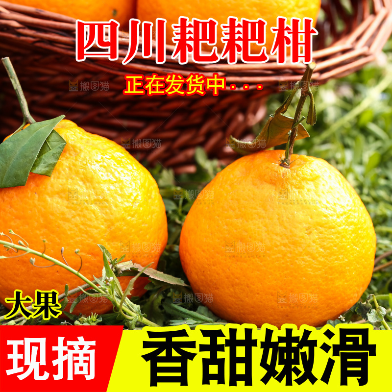 草地上的耙耙柑