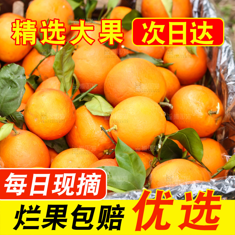堆放着的血橙