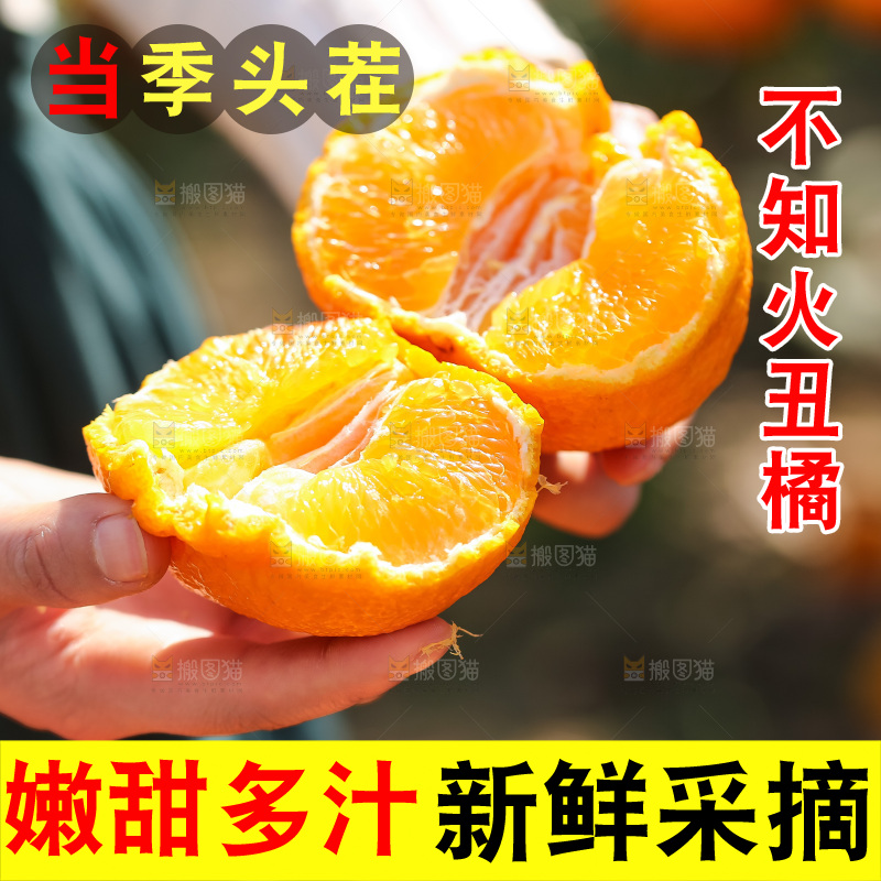 手里拿着丑八怪