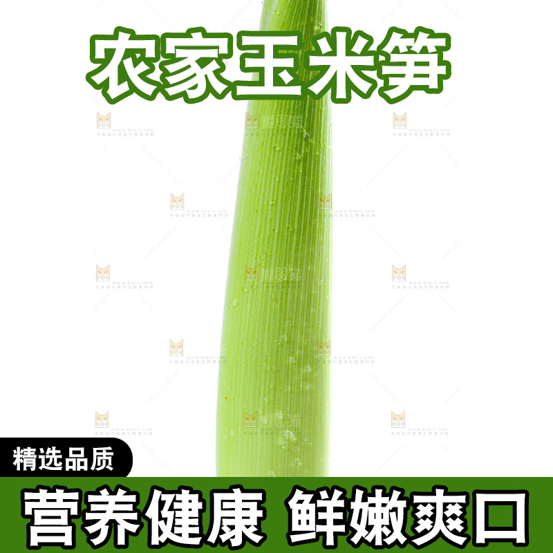 白底上的珍珠笋