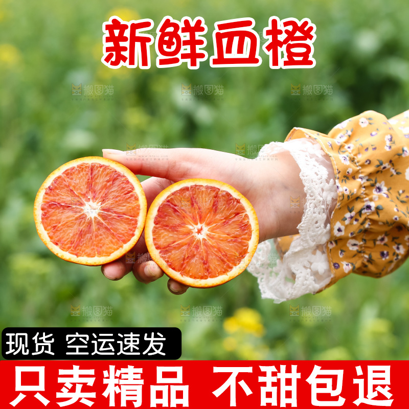 手里拿着赣南血橙