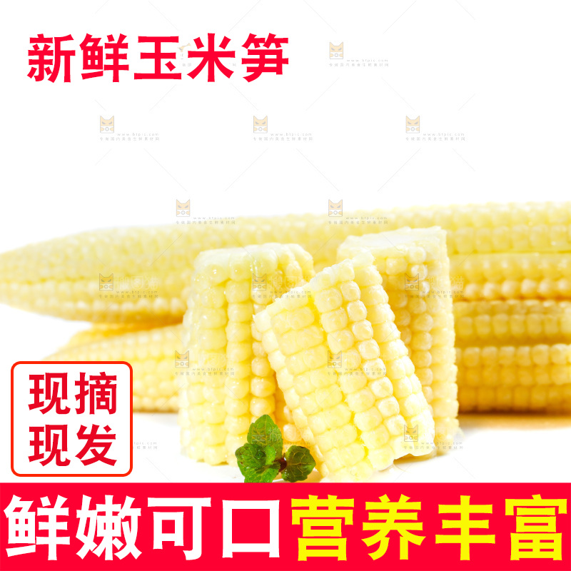 白底上的珍珠笋