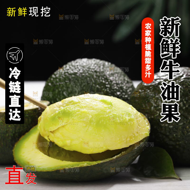 浅底上的巨无霸牛油果