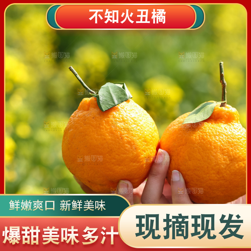 手里拿着丑八怪