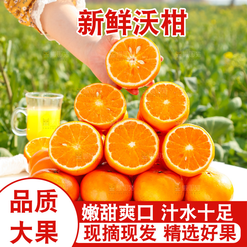 手里拿着沃柑