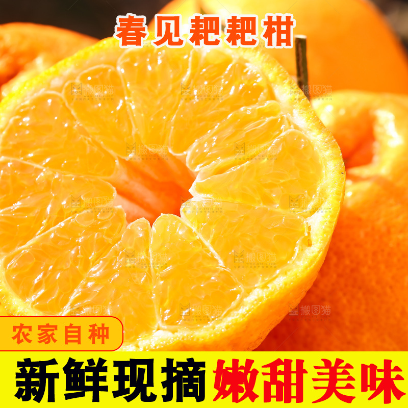 草地上的耙耙柑
