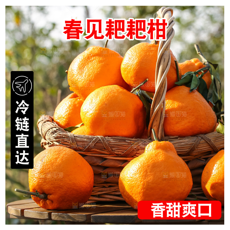 草地上的耙耙柑