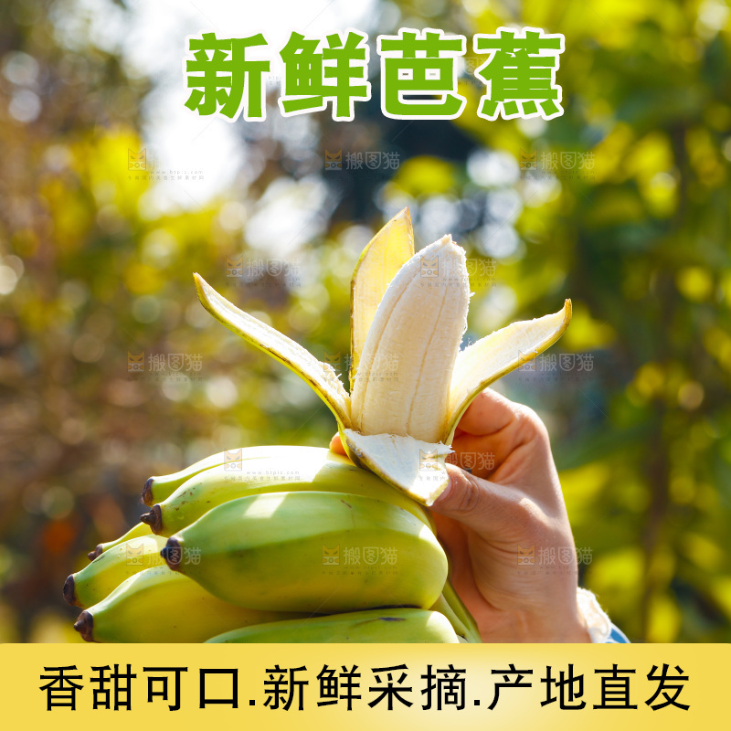 手里拿着广西芭蕉