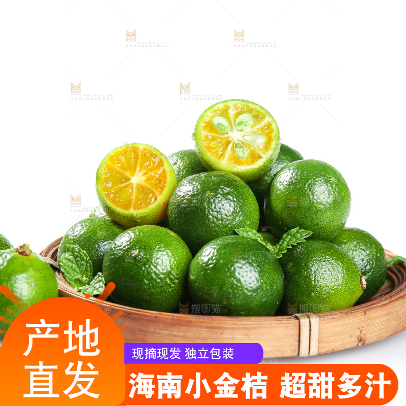 白底上的小金桔