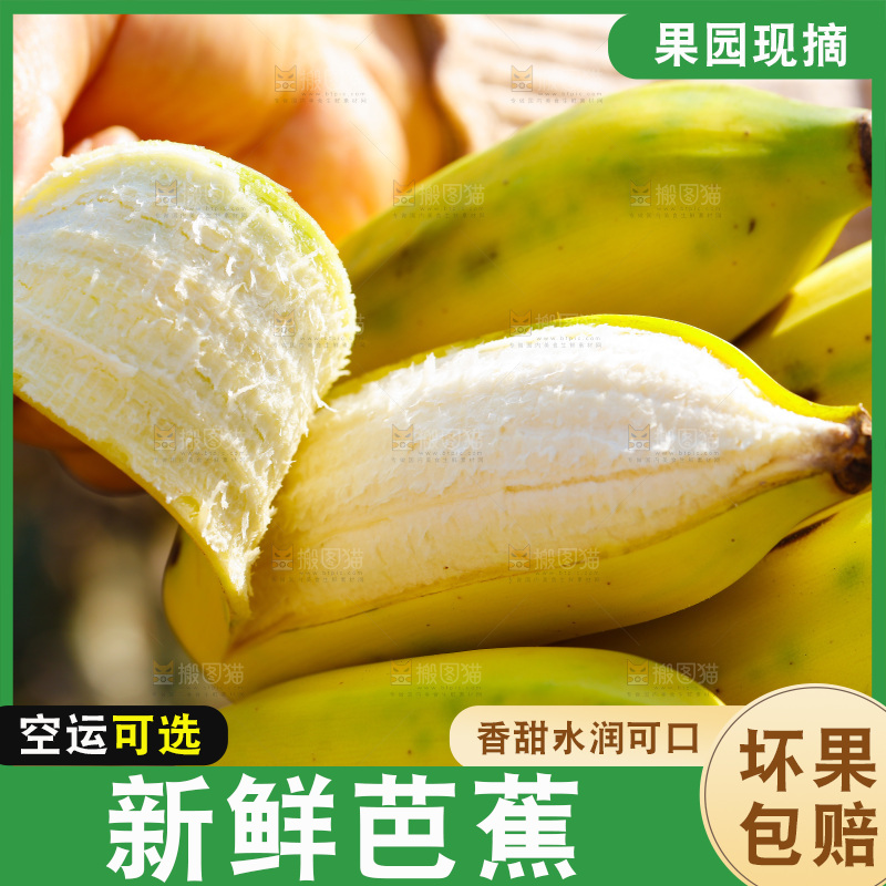 手里拿着广西芭蕉