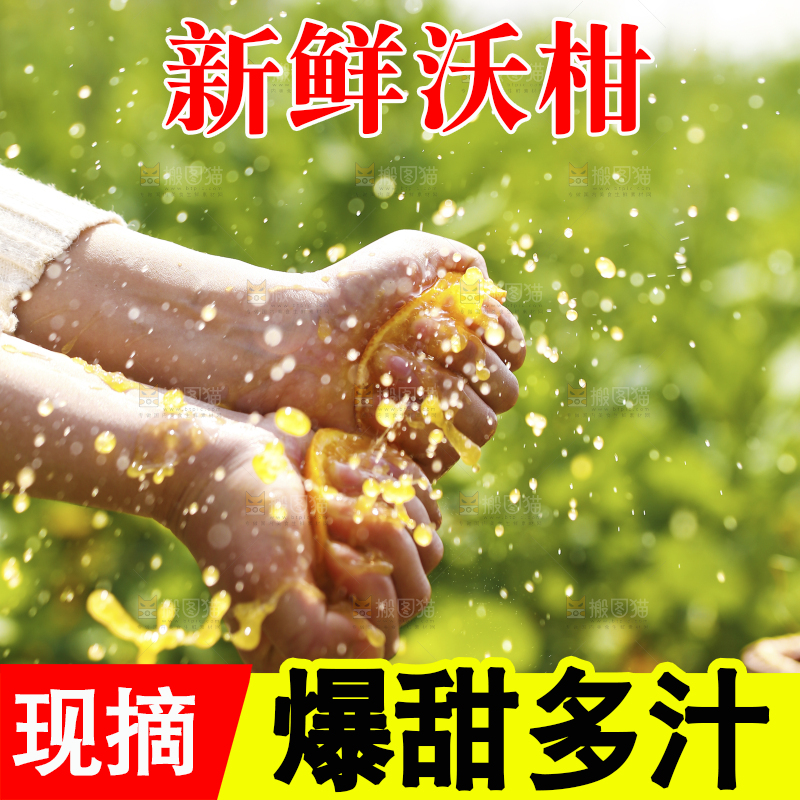 手里拿着新鲜沃柑