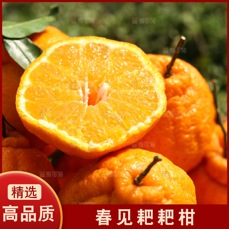 草地上的耙耙柑