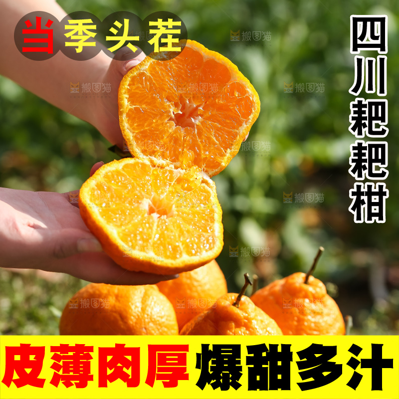 草地上的耙耙柑