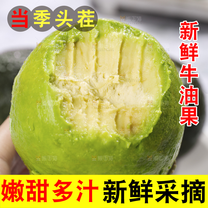 浅底上的巨无霸牛油果