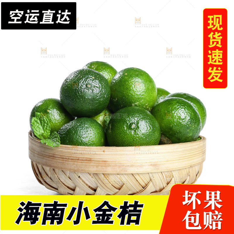 白底上的小金桔