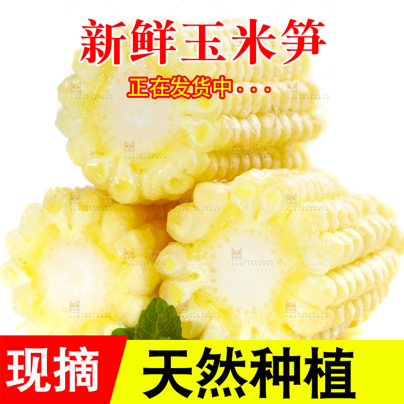 白底上的珍珠笋