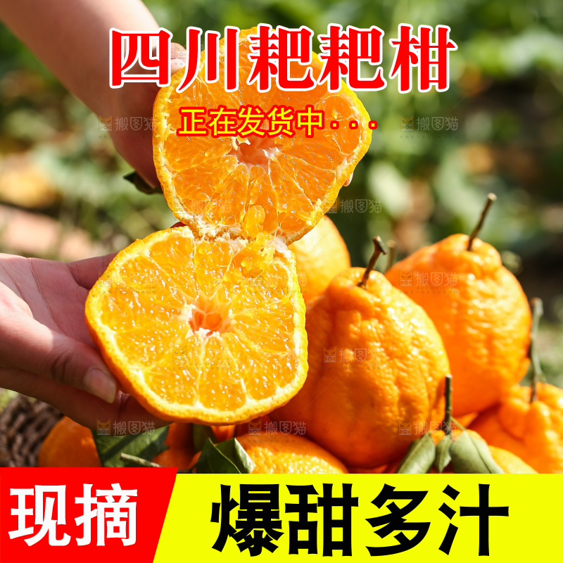 草地上的耙耙柑