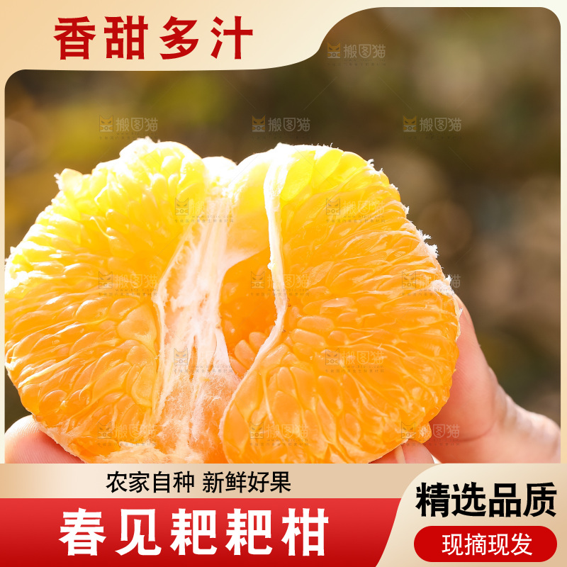 草地上的耙耙柑