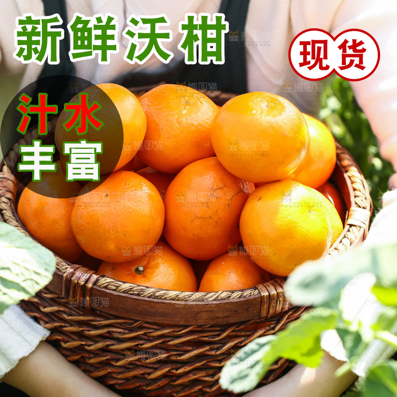 手里拿着新鲜沃柑