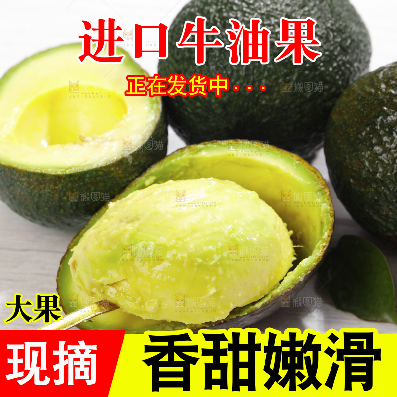 浅底上的巨无霸牛油果