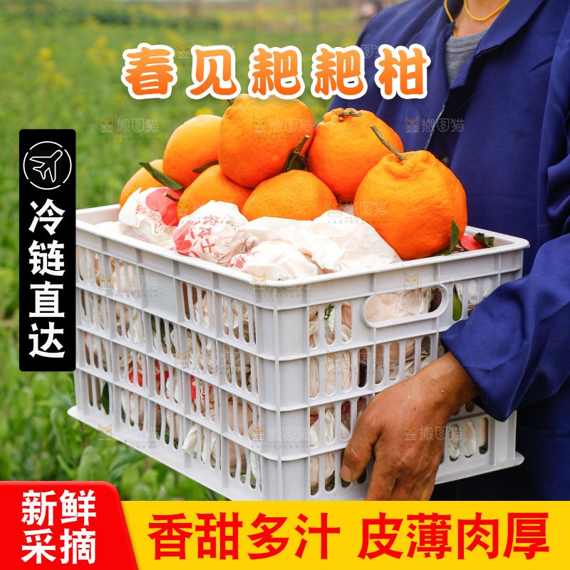 手里拿着耙耙柑