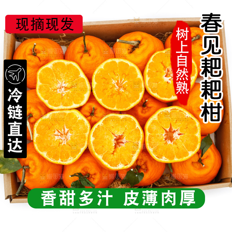 白底上的耙耙柑