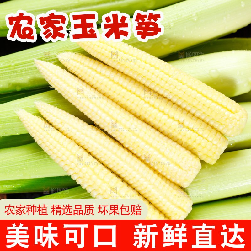 深底上的玉米笋