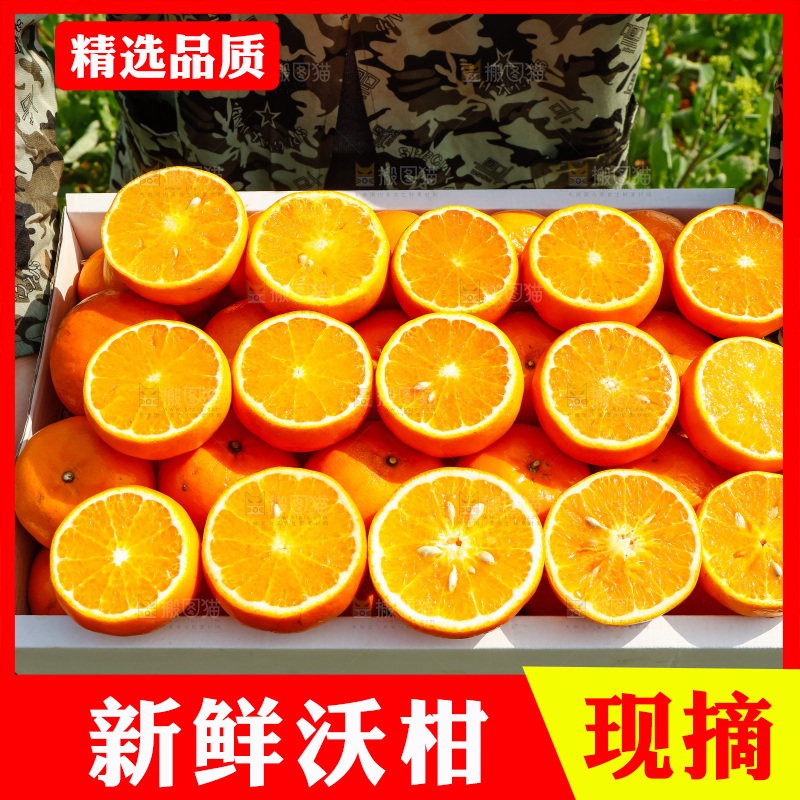手里拿着沃柑