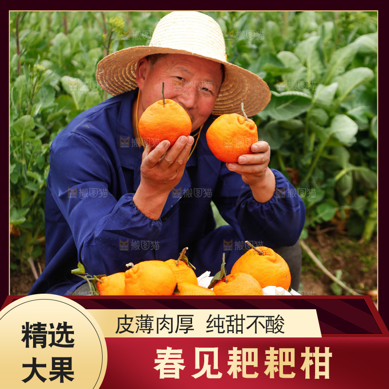 手里拿着耙耙柑