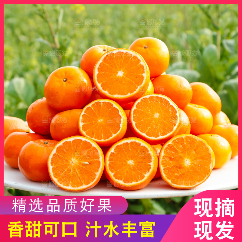 堆放着的新鲜沃柑