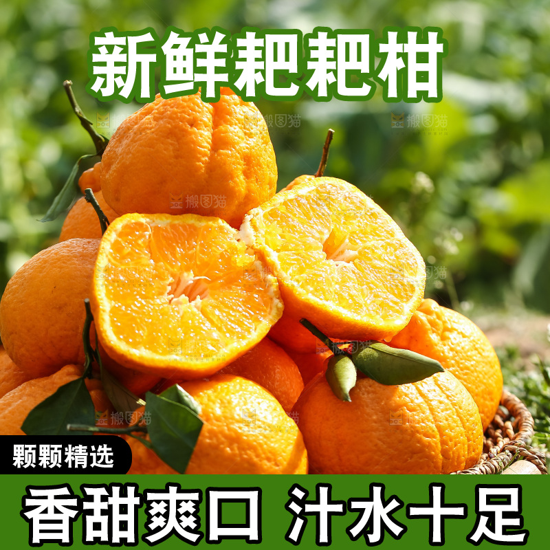 草地上的耙耙柑