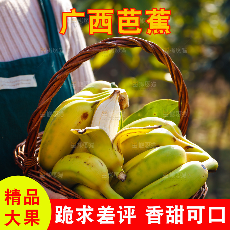 手里拿着广西芭蕉
