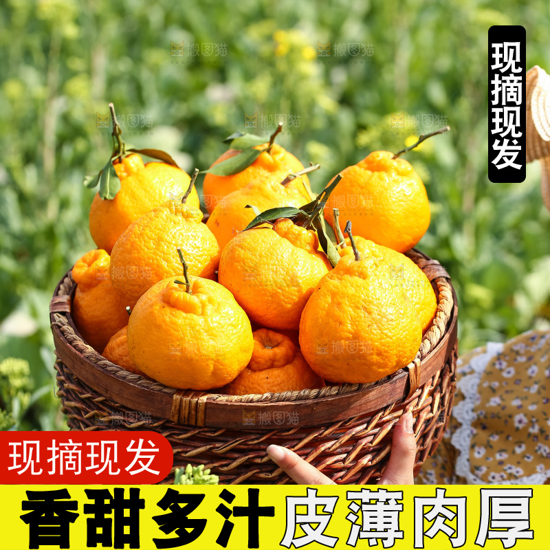 手里拿着丑八怪