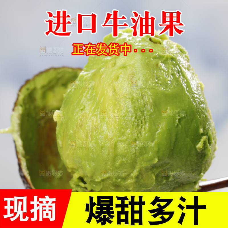 浅底上的巨无霸牛油果