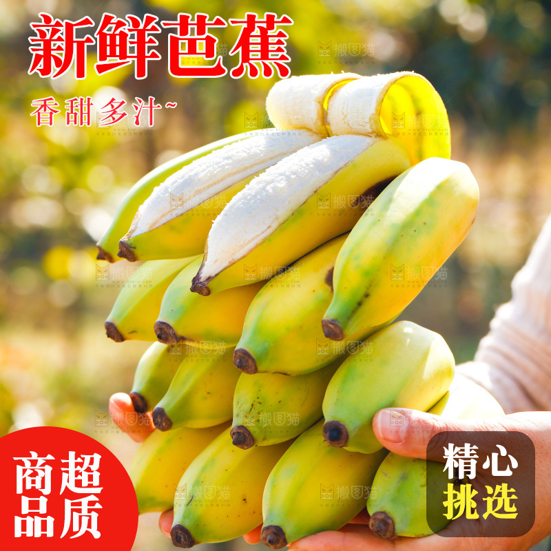 手里拿着广西芭蕉