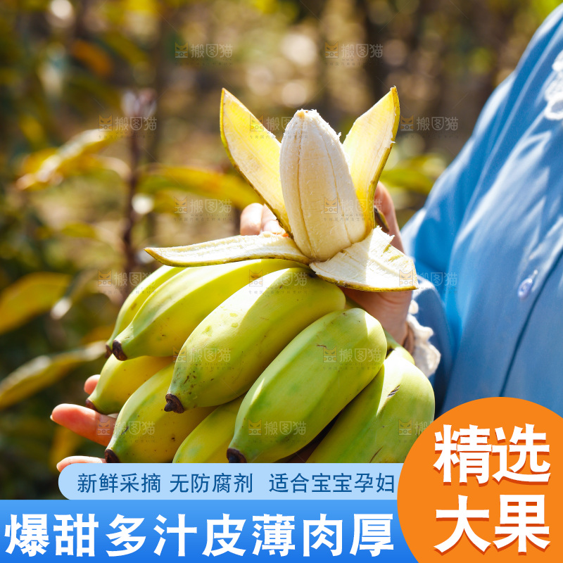 手里拿着广西芭蕉