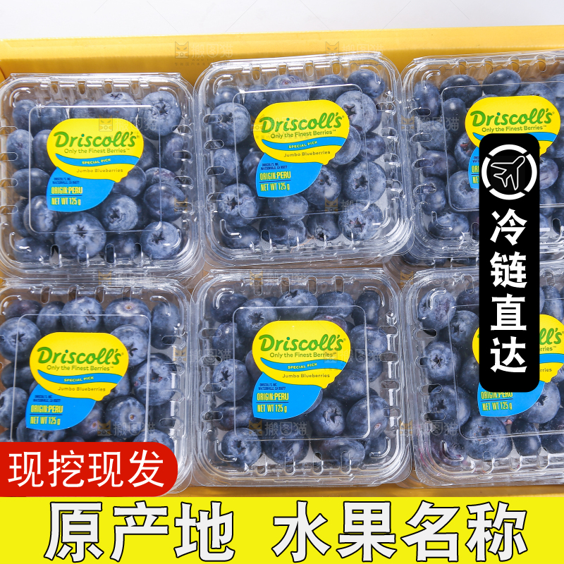 白底上放着的新鲜蓝莓